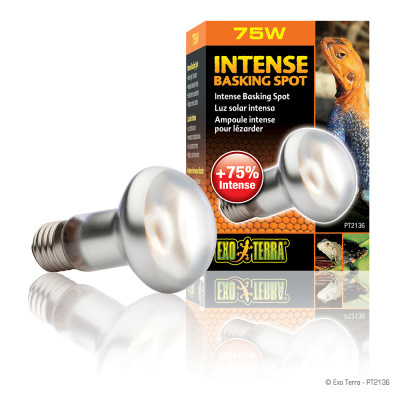 EXO TERRA INTENSE BASKING SPOT Лампа греющая, направленная, 75Вт